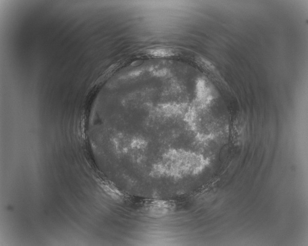 X0000067850330200605041722