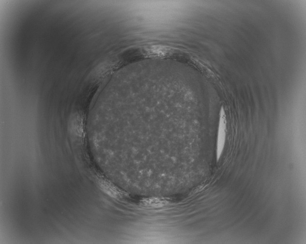 X0000067850331200605041722