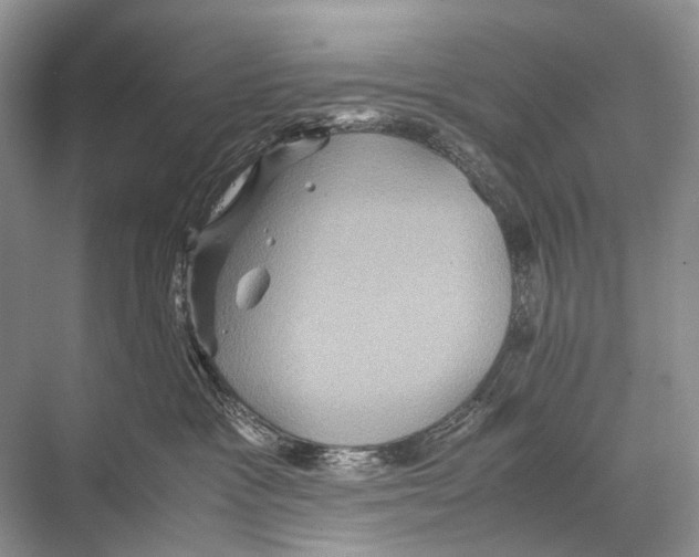 X0000067850333200605041722