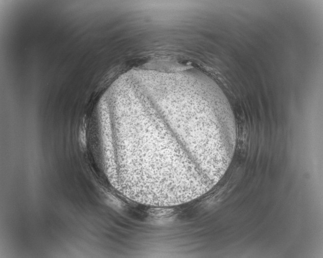 X0000067850334200605041722