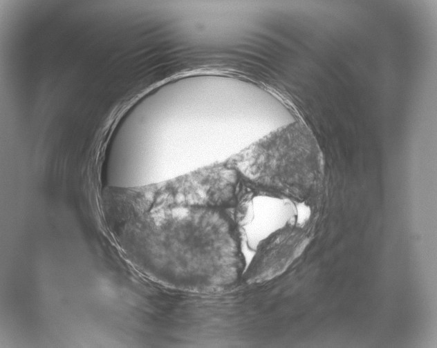 X0000067850337200605041721