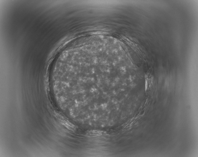 X0000067850339200605041721