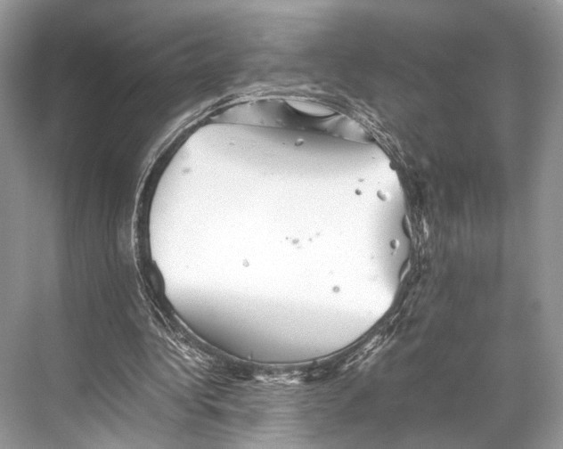 X0000067850340200605041721