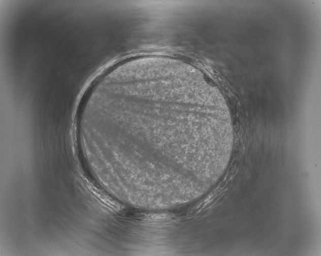 X0000067850342200605041721