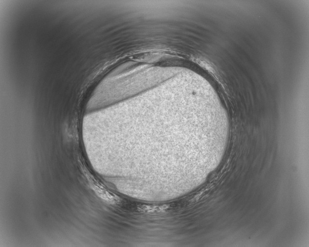 X0000067850345200605041721