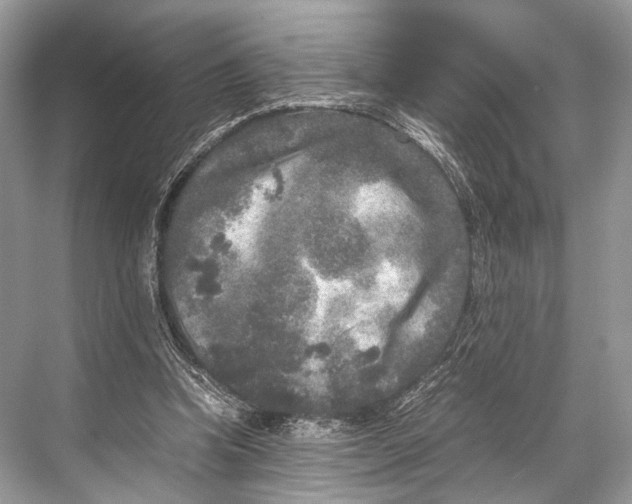 X0000067850346200605041721