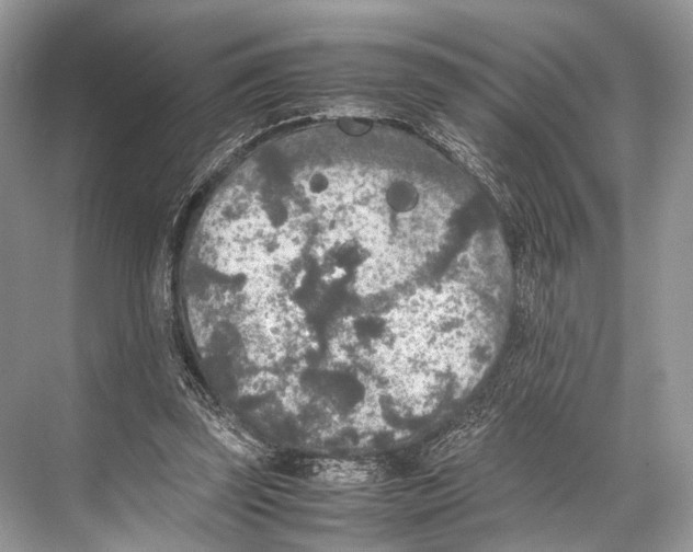 X0000067850347200605041721