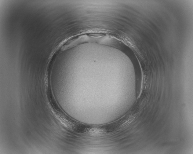 X0000067850348200605041721