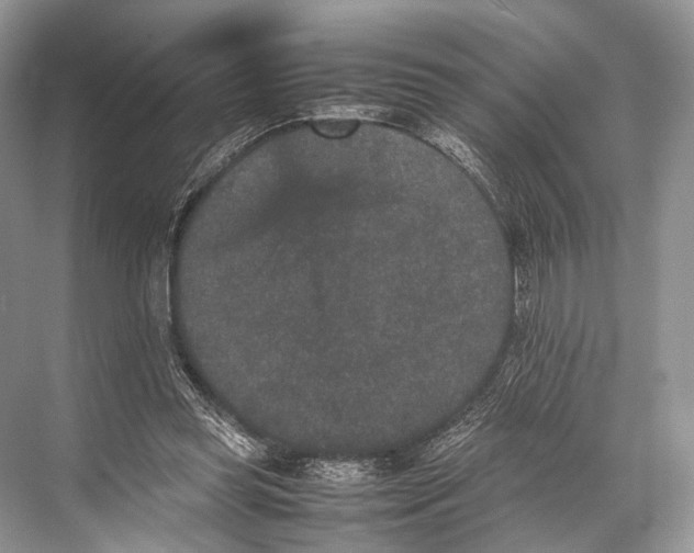 X0000067850349200605041721