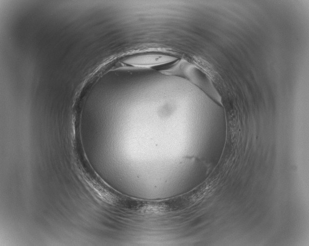 X0000067850350200605041721