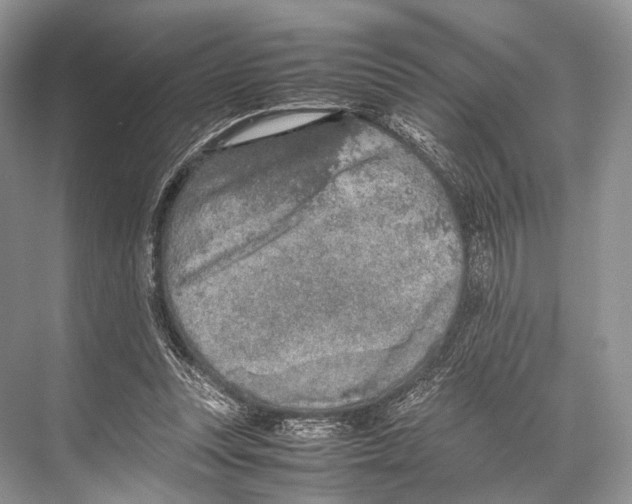 X0000067850351200605041721