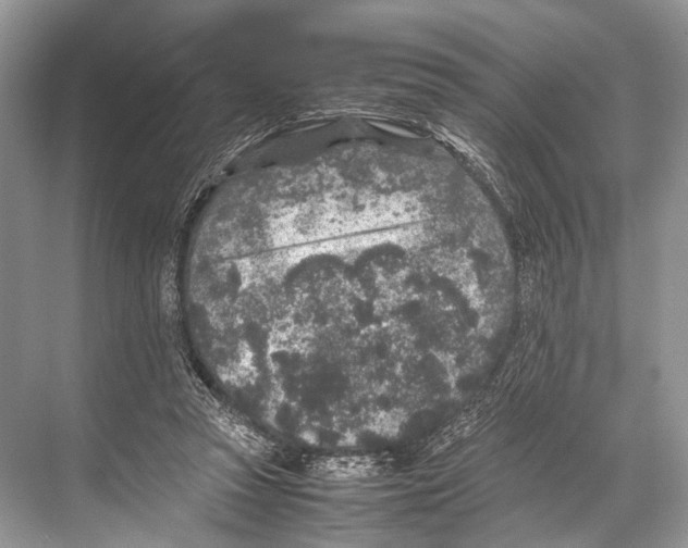 X0000067850353200605041721