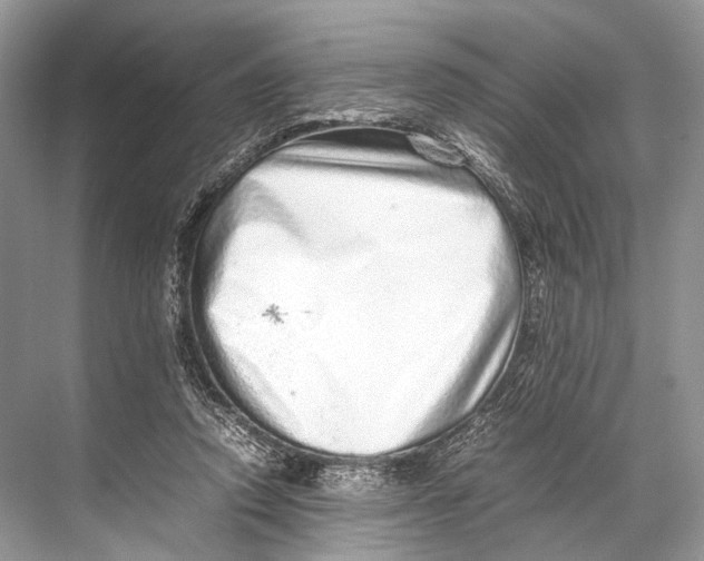 X0000067850354200605041721