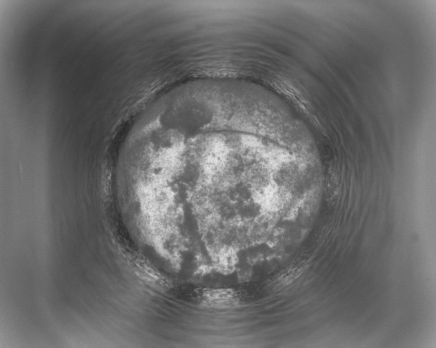 X0000067850355200605041721