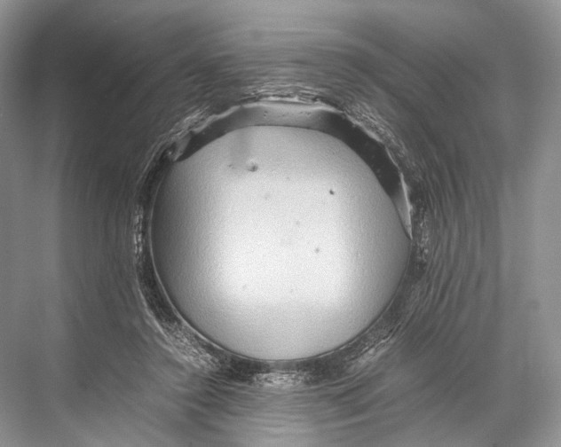 X0000067850356200605041721