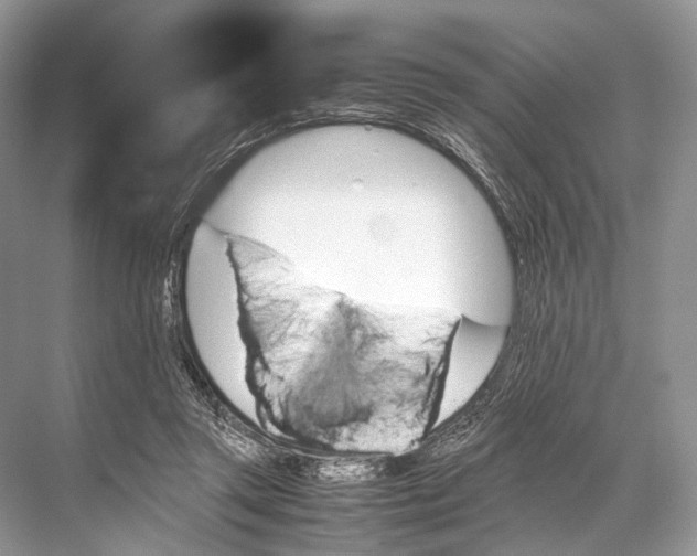 X0000067850357200605041721