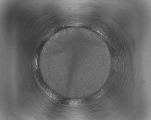 X0000067850358200605041721