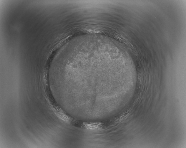 X0000067850359200605041721