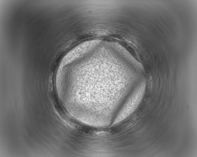 X0000067850360200605041721