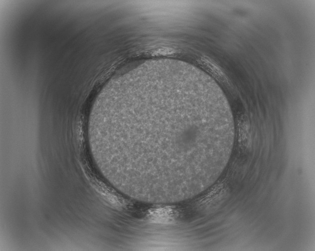 X0000067850362200605041721