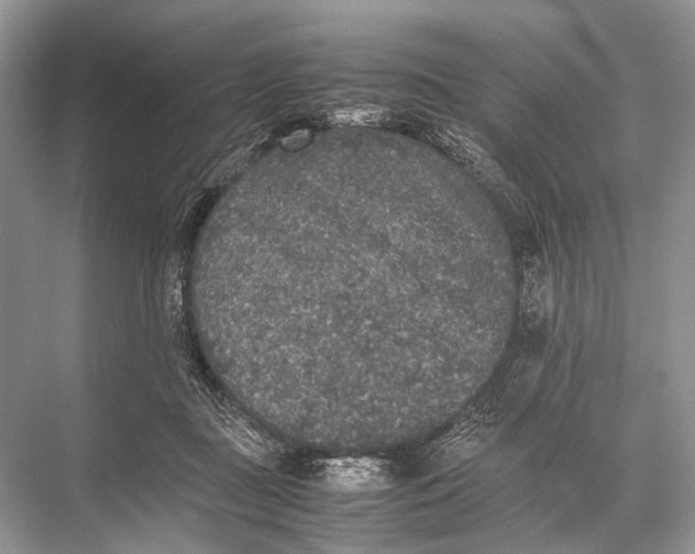 X0000067850363200605041721