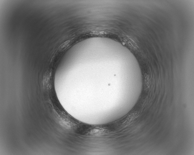 X0000067850364200605041721