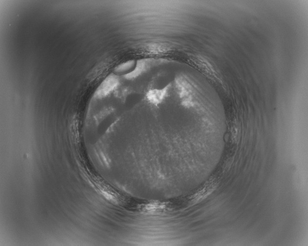 X0000067850366200605041721