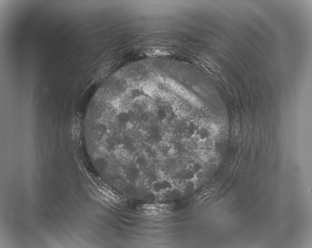 X0000067850367200605041721