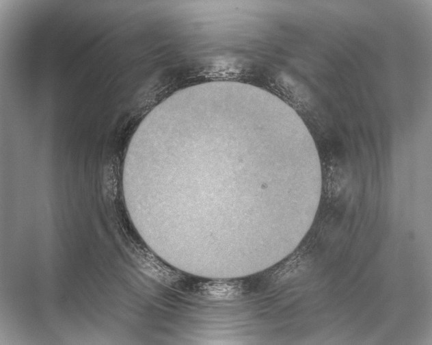 X0000067850370200605041721