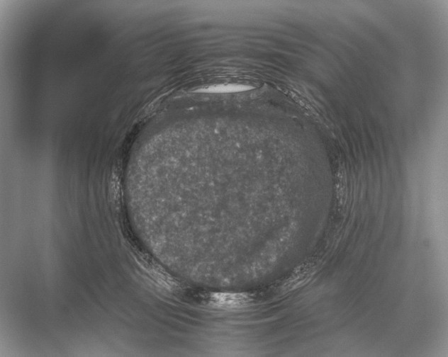 X0000067850371200605041721