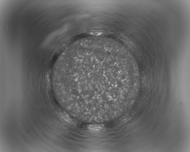 X0000067850373200605041721