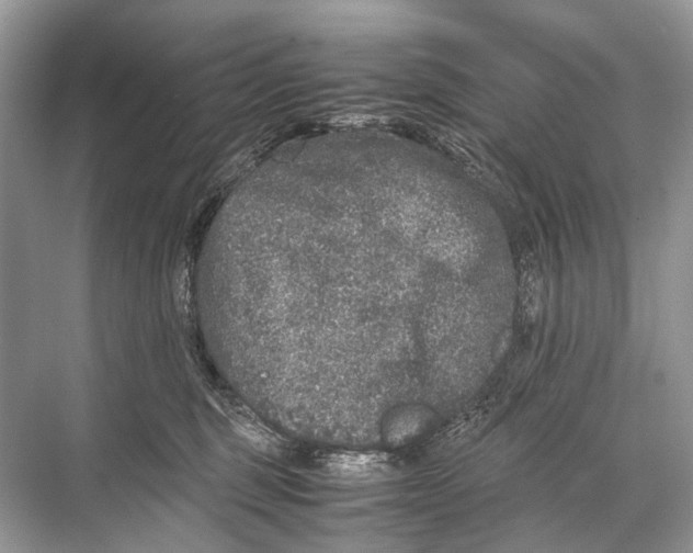 X0000067850375200605041721