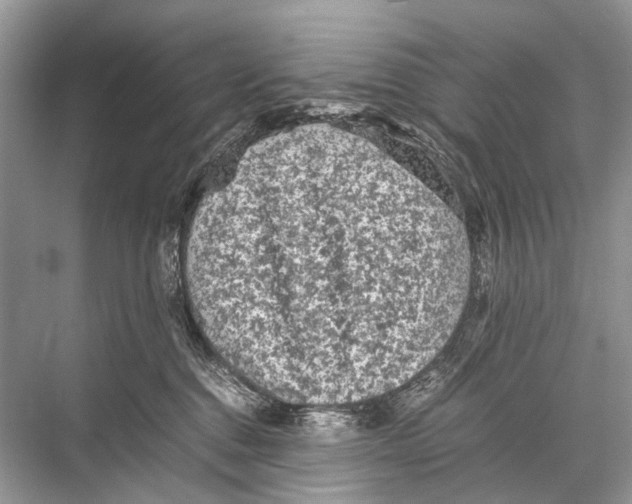 X0000067850376200605041722