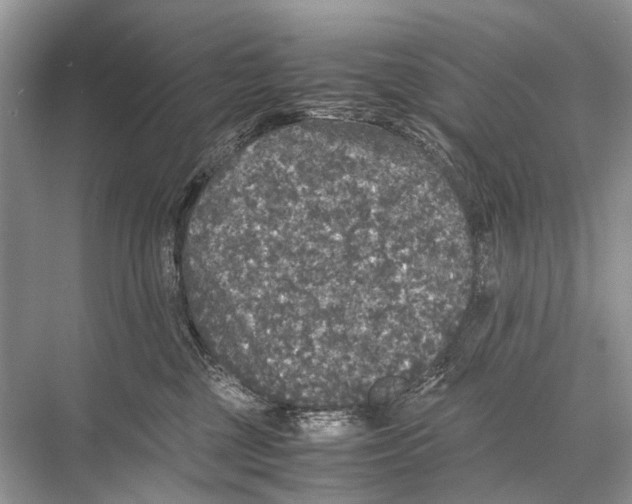 X0000067850377200605041722