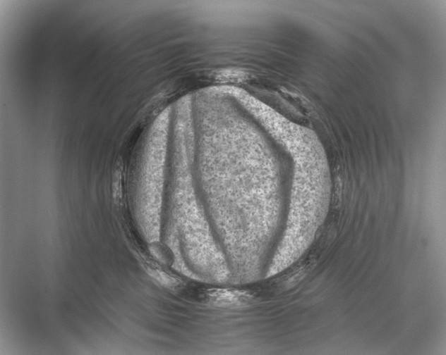 X0000067850379200605041722