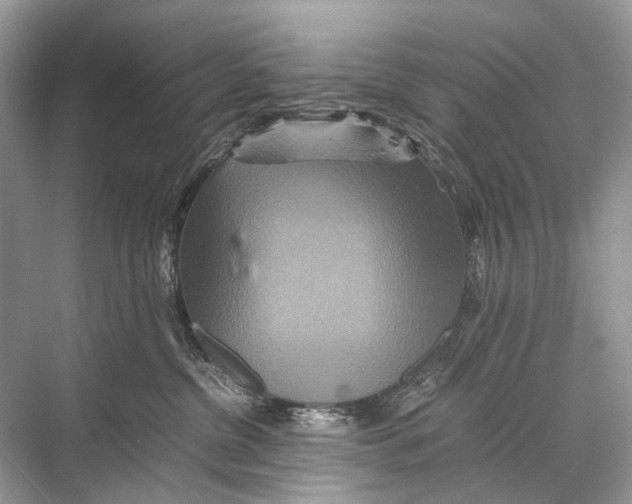 X0000067850380200605041722