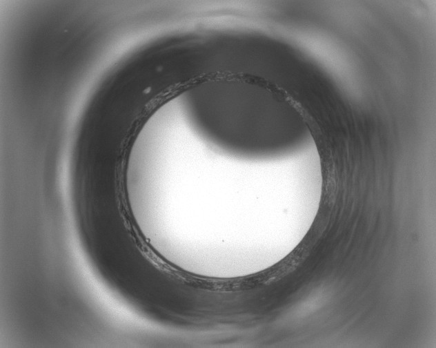 X0000067850383200605041722