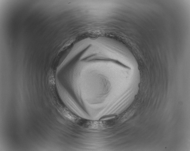 X0000067850384200605041722