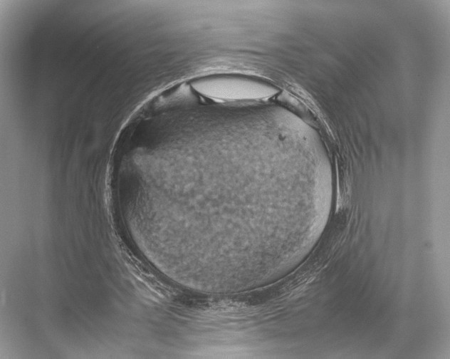 X0000067850387200605041721