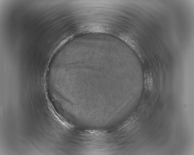 X0000067850390200605041721