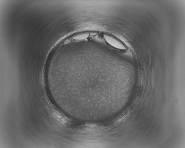 X0000067850391200605041721