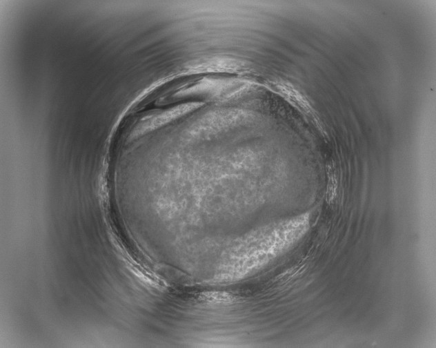 X0000067850392200605041721