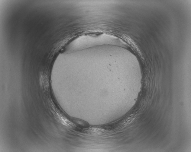 X0000067850393200605041721