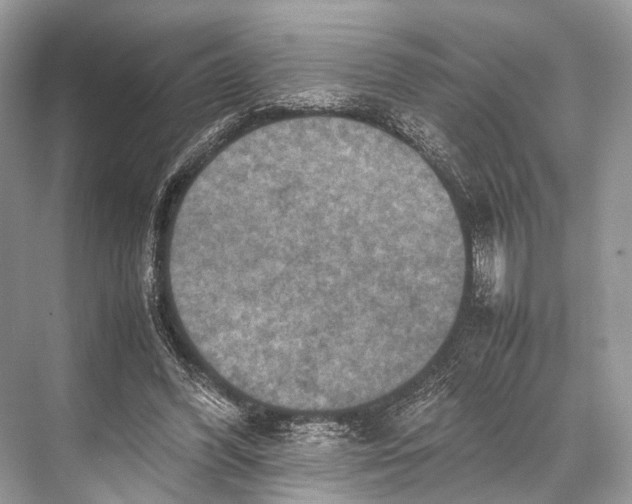 X0000067850396200605041721