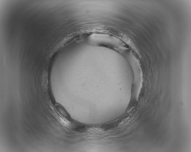 X0000067850397200605041721