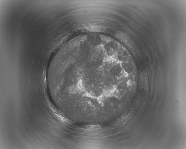 X0000067850398200605041721