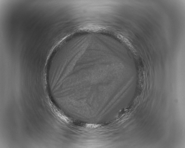 X0000067850399200605041721