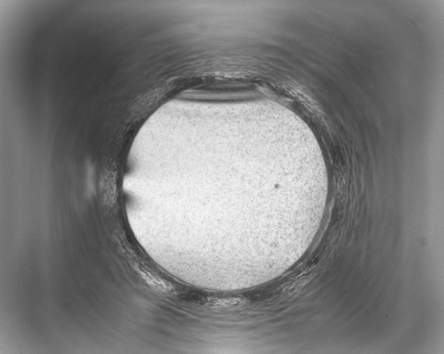 X0000067850401200605041721