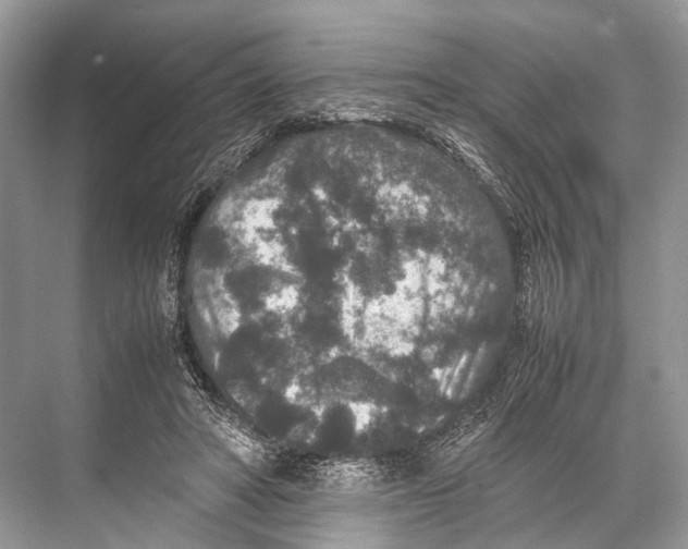 X0000067850402200605041721