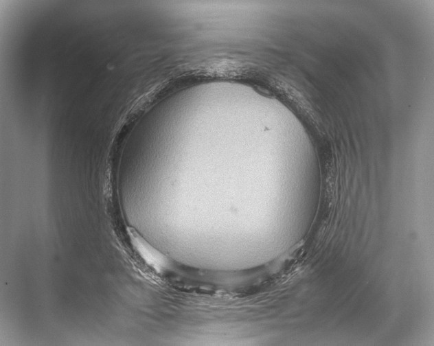 X0000067850403200605041721